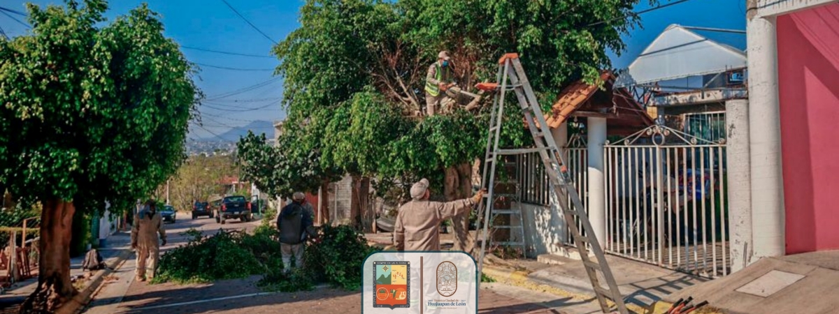 Sistema de Citas Municipal - Ayuntamiento de Huajuapan