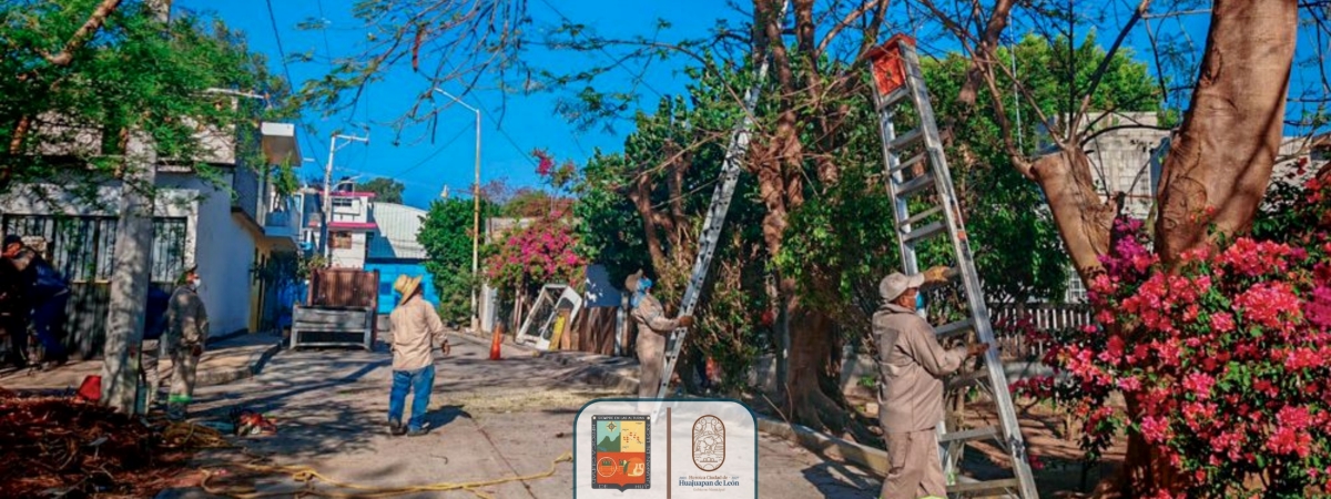 Sistema de Citas Municipal - Ayuntamiento de Huajuapan